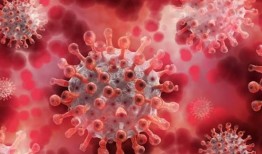 全球新冠病毒最新爆料,全球疫情动态与防控策略解析